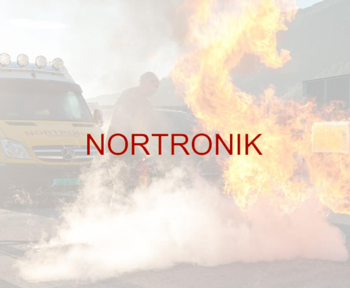 nortronik logo