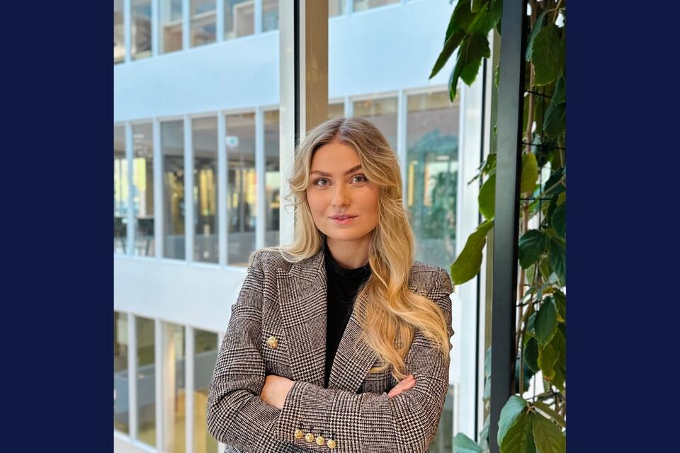 vilde teaser